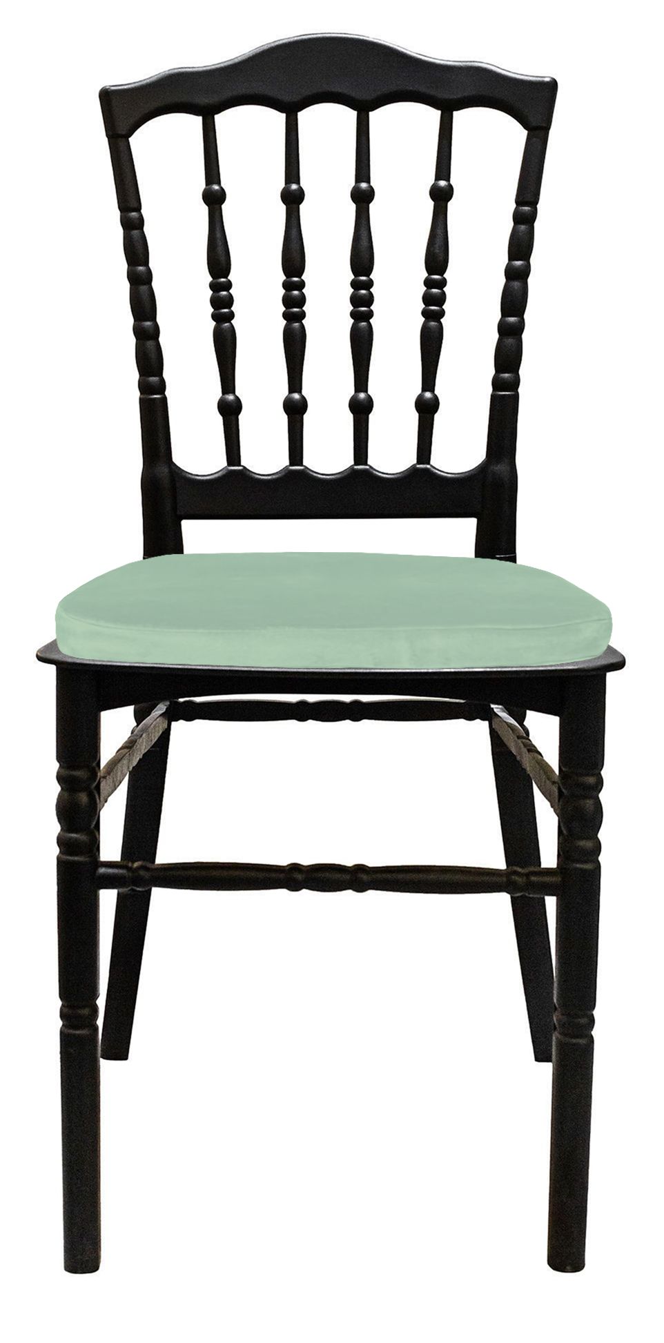 Стул черный УНИСОН с папоротниковой бархатной подушкой #412