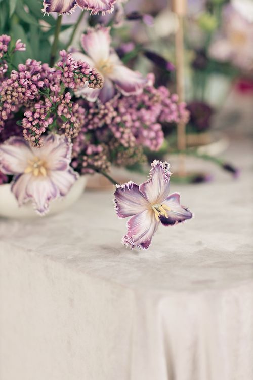 Лавандовые оттенки за прямоугольным столом