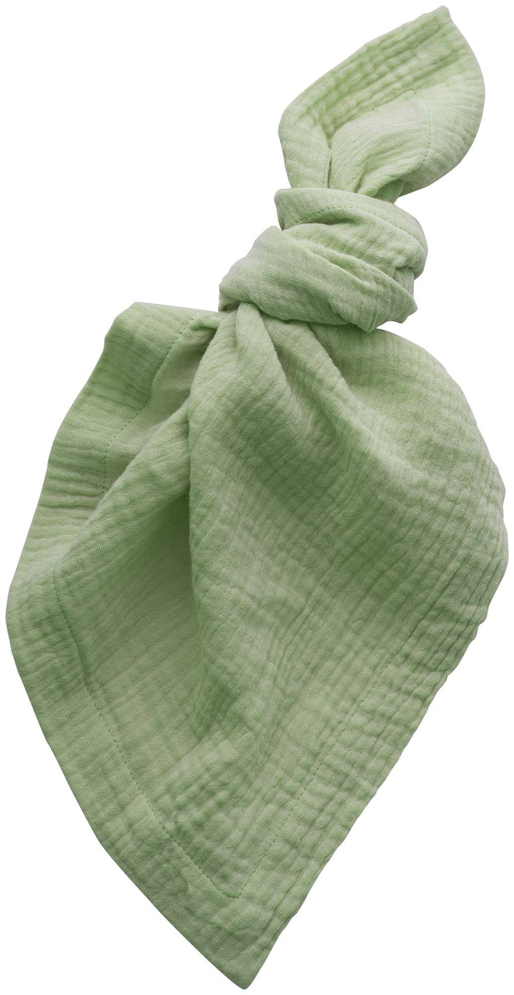 Салфетка МУСЛИНОВАЯ Тирсо ПАПОРОТНИКОВАЯ #721